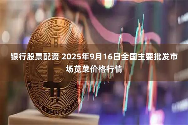 银行股票配资 2025年9月16日全国主要批发市场苋菜价格行情