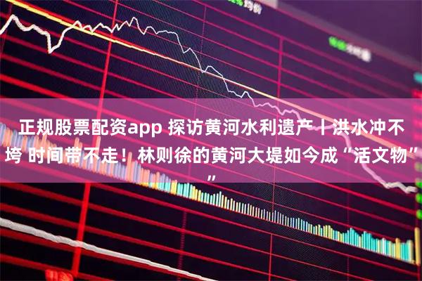 正规股票配资app 探访黄河水利遗产丨洪水冲不垮 时间带不走！林则徐的黄河大堤如今成“活文物”